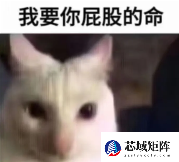 库迪刚放弃9.9 就被华莱士偷家了