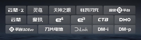 2025车企复购率榜单出炉：比亚迪车主复购率30.55%位居第一