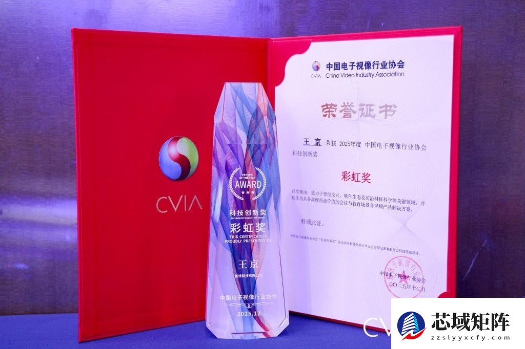 以远见赢未来 ——新线科技CEO王京荣膺中国音视频产业“彩虹奖”