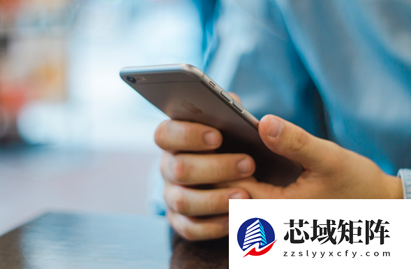 日本2025年电诈损失创历史纪录 约七成冒充警方实施诈骗