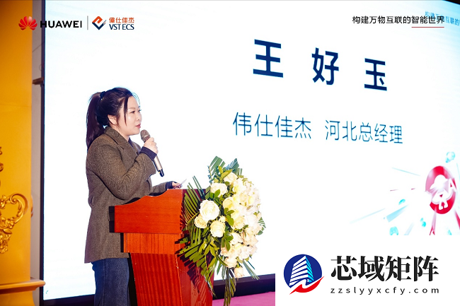 数智冀遇云领新潮 