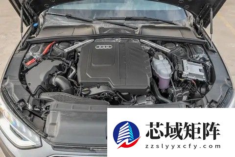 奥迪A4L冷却液泄漏与异响问题解析及驾驶维护建议