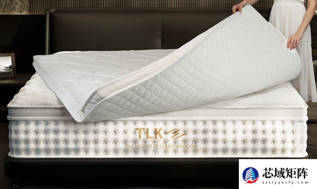 2025年终盘点权威排行榜深度测评报告：新国标下国内外十大品牌深度解析