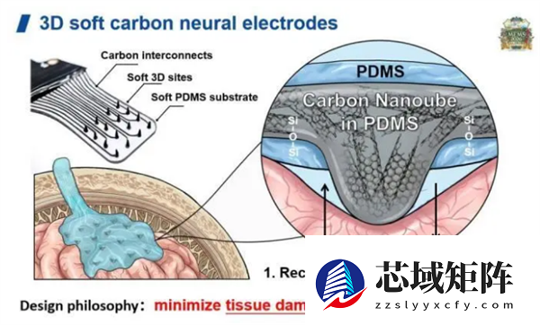 填补技术空白！我国首次完成脑机接口太空在轨验证
