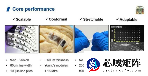 填补技术空白！我国首次完成脑机接口太空在轨验证