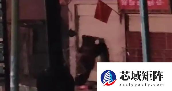 刷视频刷到自家饭店被两只黑熊破门闯入！店主懵了：这不是我家店吗