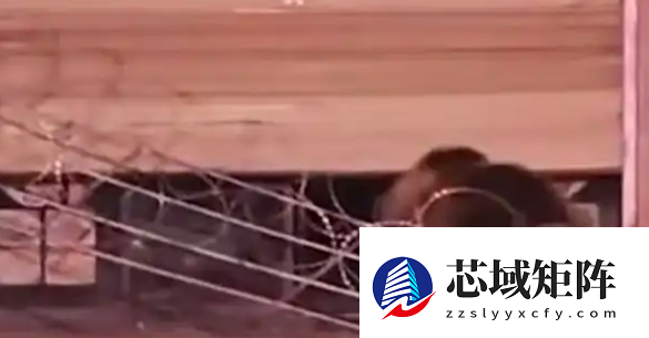 刷视频刷到饭店被两只黑熊破门闯入！店主懵了：这不是我家店吗