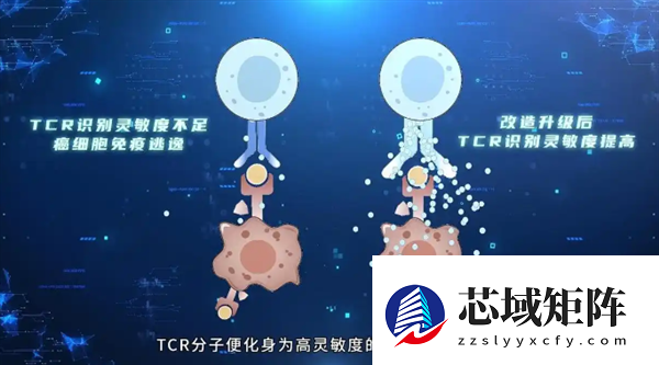 精准狙杀癌细胞！我国科学家突破T细胞识别瓶颈