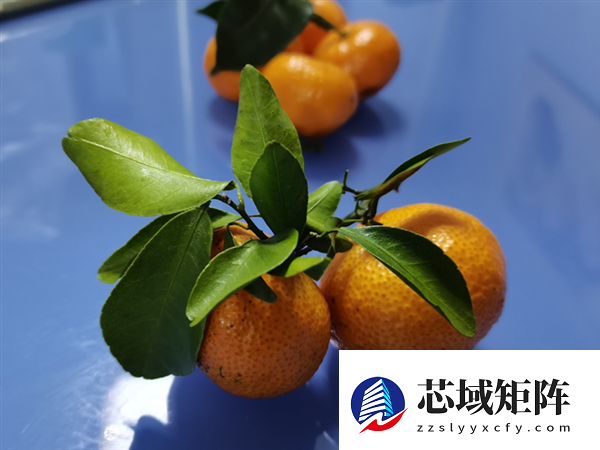 过年狂炫砂糖橘 我妈说我脸黄得像村口大黄狗