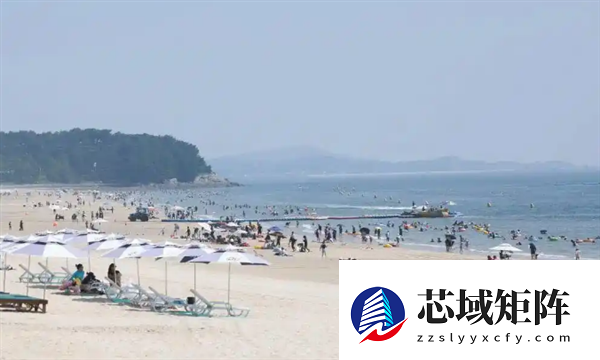 韩国兴起海滩淘金热：沙中有贵金属与钱币 有人一年寻获1.2万元