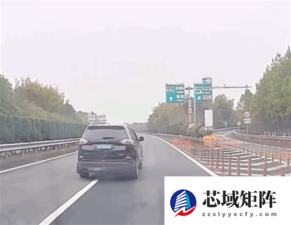 错过路口竟直接跨车道停车 司机：不知道该前进还是后退