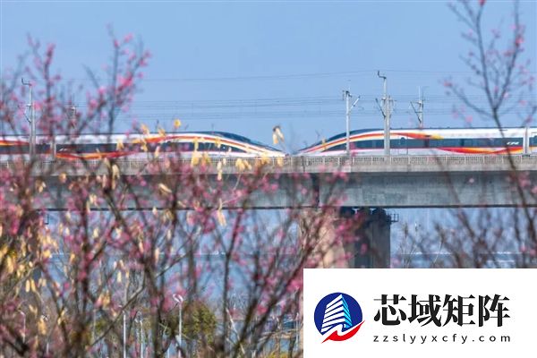 铁路12306已累计发售春运火车票超3.1亿张 返程客流高峰开启