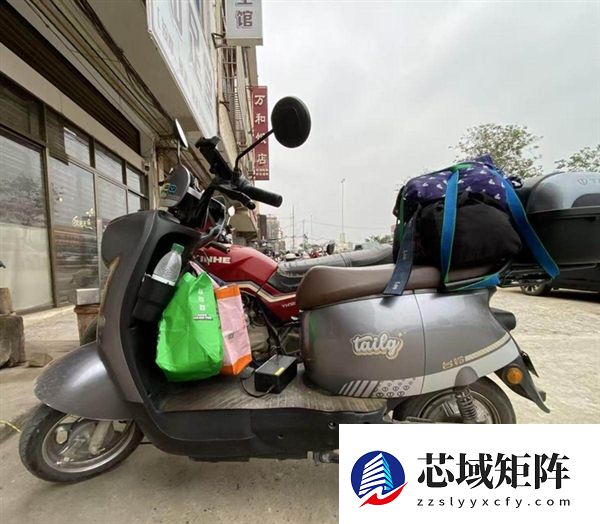 女子骑电动自行车近2个月从上海回广西引百万人围观：3000多公里路程 一天充3次电