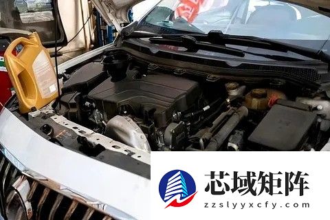 科学养车：按需保养更省钱