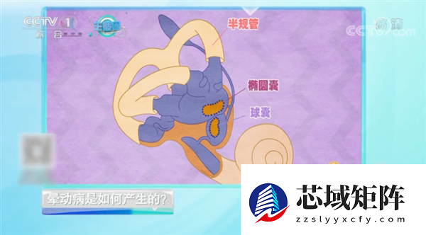 为什么晕车的人很多 却感觉晕高铁的人很少