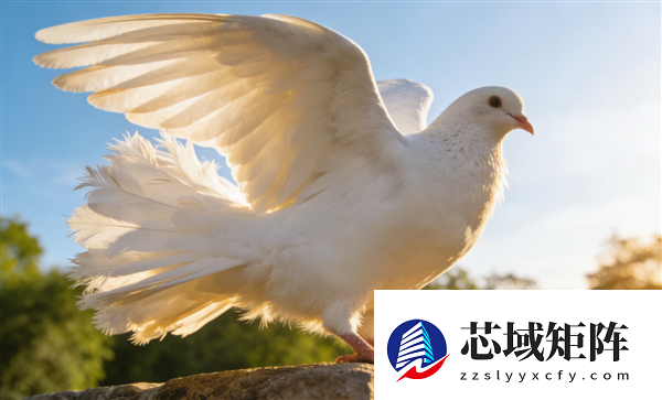 俄罗斯公司黑入鸽子大脑：改造成活生生的无人机！