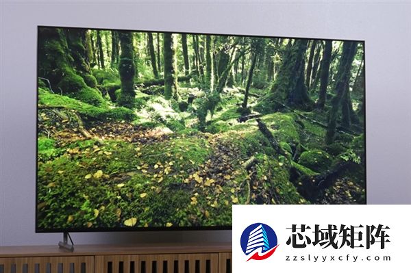 春节家电踩坑复盘：这些智商税别再交了