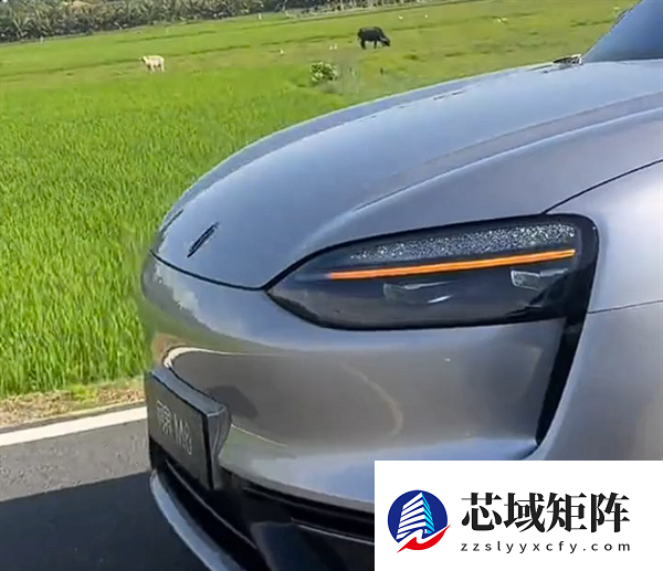 全新问界M6银色版实车曝光 鸿蒙智行开年爆款来了