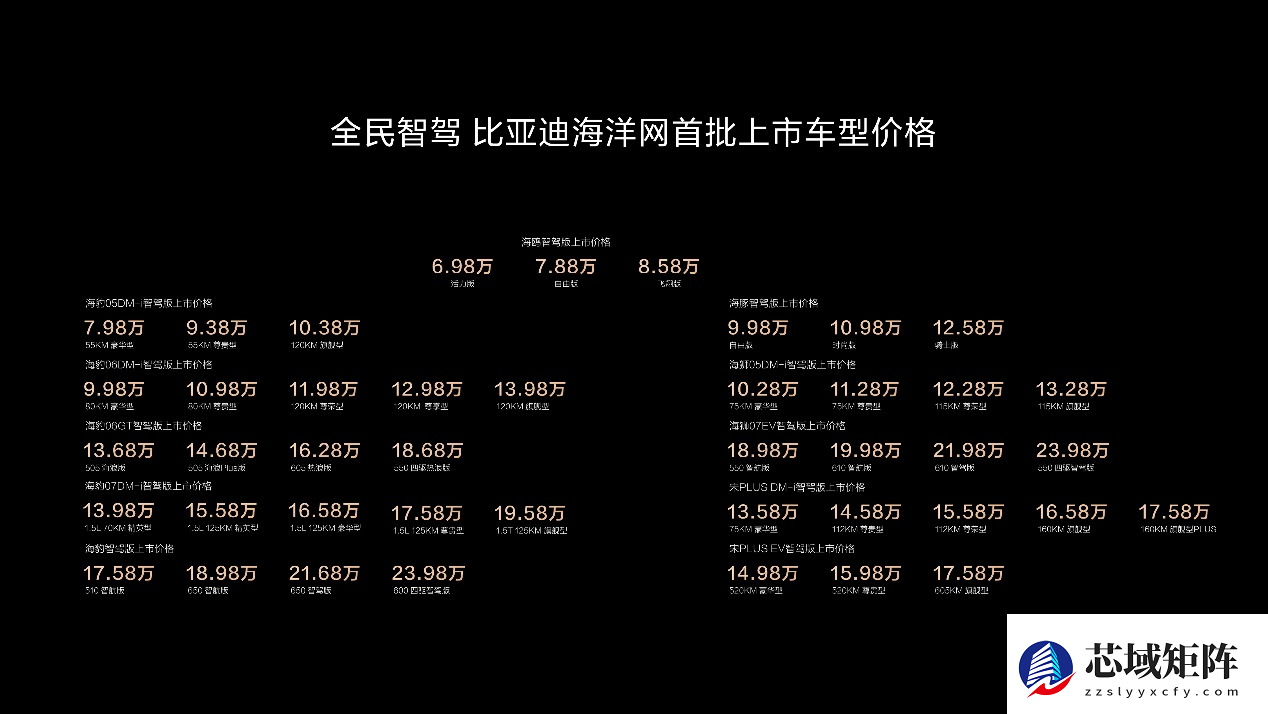 比亚迪2025：辅助驾驶平权 为什么只有比亚迪能做到