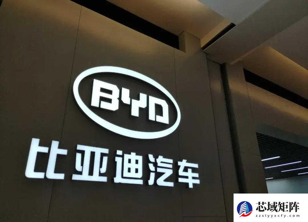 比亚迪2025：辅助驾驶平权 为什么只有比亚迪能做到