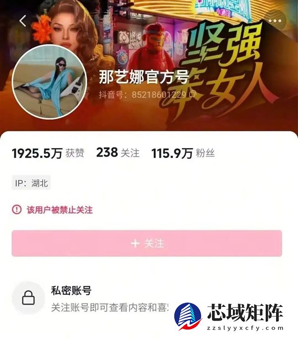 劣迹艺人那艺娜被曝在国外开设账号 其国内部分账号已被封禁