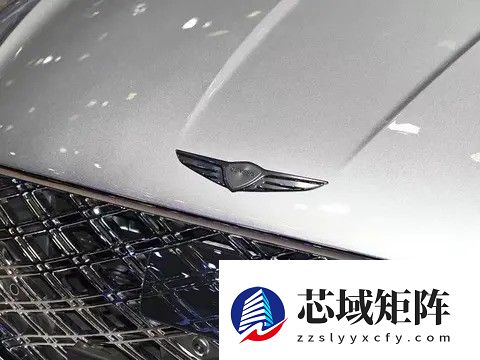 捷尼赛思中国换帅 李永辰接棒CEO推进本土化发展