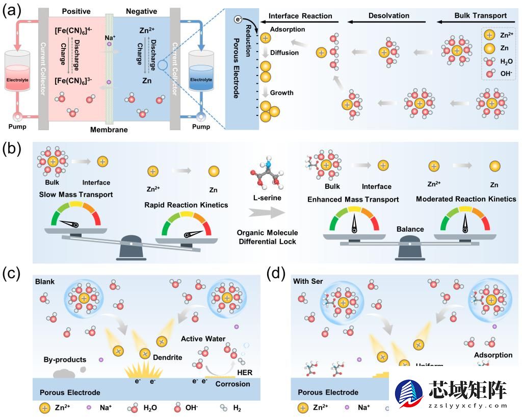 西安交大实现碱性锌基液流电池新突破