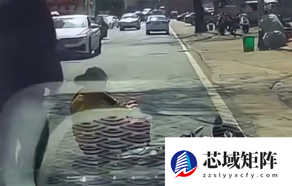 又想复制无接触事故！女子骑车摔倒反诬赖司机摁喇叭被吓到 记录仪显示路面颠簸所致