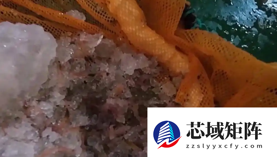 “雪龙”号在南极为啥要捞磷虾 只为读懂生态信号