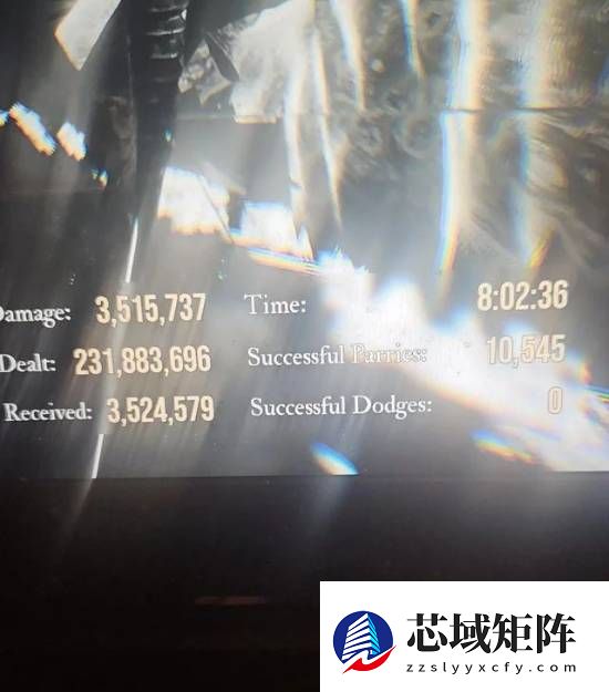 网游新闻光与影：33号远征队_玩家八小时完成10545次格挡，极限挑战引热议