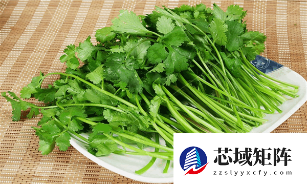 今天是世界讨厌香菜日：爱恨两极端！背后是基因决定