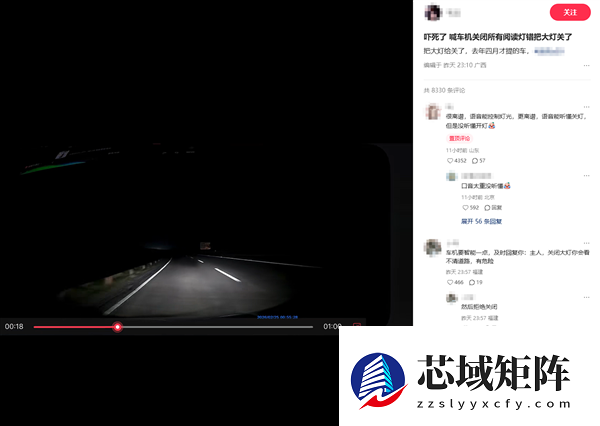 严重BUG！男子夜间高速开车误用语音关闭大灯致事故