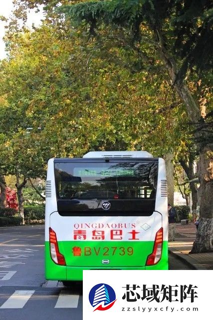 山东5城推行双车牌，数量全国居首