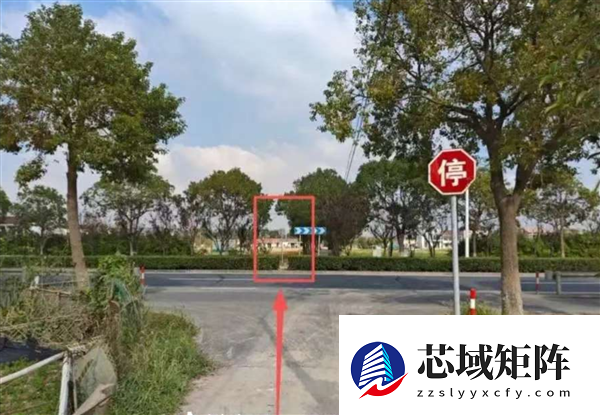 行人横穿马路被撞亡家属索赔150万 上海法院判了：司机等无责