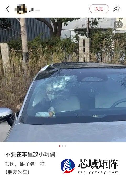 车内勿放玩偶饰品，安全隐患触目惊心