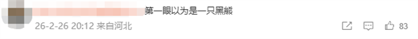 “全网最黑”大熊猫引热议 网友：以为是AI 禁止Cos黑熊