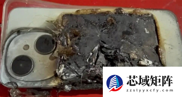 巴西男子被两条狗狂咬 手机突然爆炸救了他一命