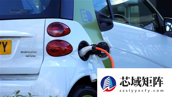 不再续航焦虑 我国汽车充电枪已达2070万个 大增近50%