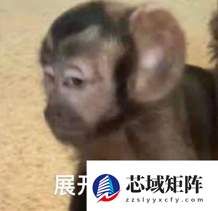 看完英伟达这赚钱速度 我觉得我手里的砖更烫了