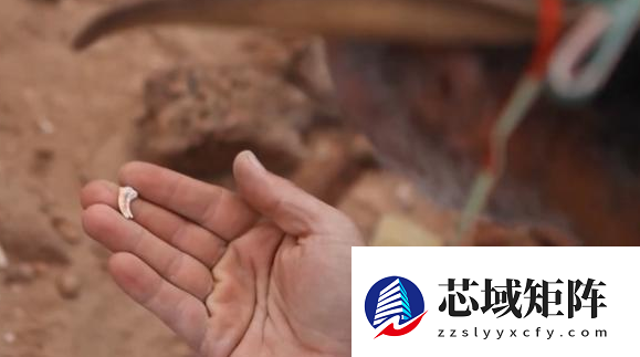 研究人员发现迷你恐龙化石 仅乌鸦大小