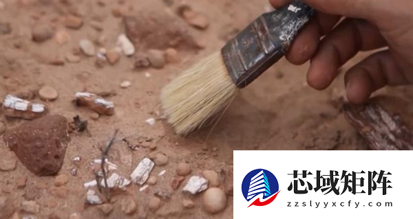 研究人员发现迷你恐龙化石 仅乌鸦大小