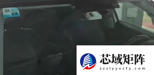 尴尬！男子驾车返乡竟被猫咪锁在车外：结局竟神反转