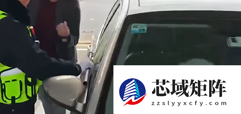 尴尬！男子驾车返乡竟被猫咪锁在车外：结局竟神反转