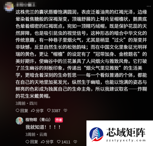专家委托给新品种兜兰征名 “炸糊的花生米戴黄帽”高居第一