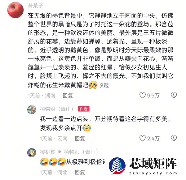 专家委托给新品种兜兰征名 “炸糊的花生米戴黄帽”高居第一
