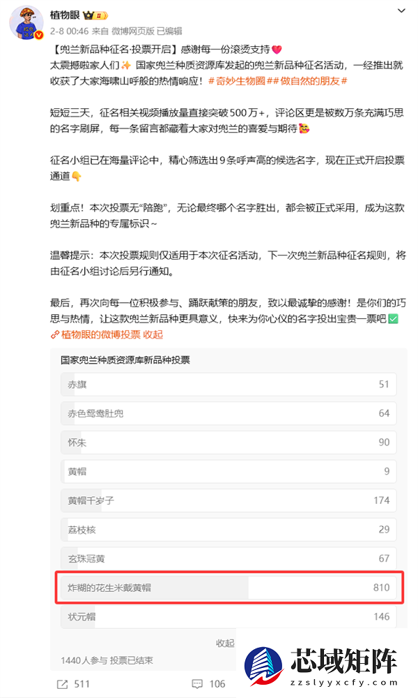 专家委托给新品种兜兰征名 “炸糊的花生米戴黄帽”高居第一
