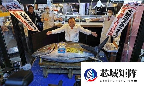 2026年首拍：青森蓝鳍金枪鱼5.1亿日元成交创历史新高
