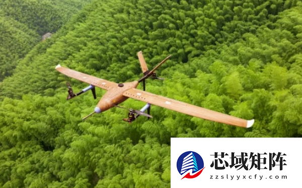 比碳纤维减重20%！竹基倾转旋翼无人机首飞成功
