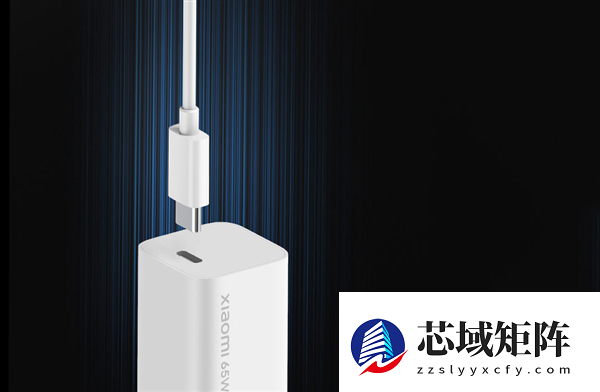 史上最长春节假期进入尾声！充电器一拔又是一年 你踏上返程的路没