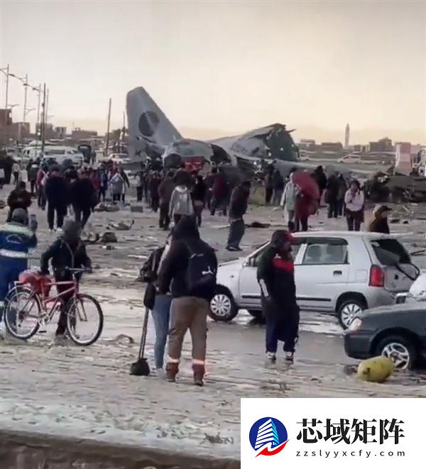 玻利维亚一飞机坠毁：装有大量钞票 散落后遭疯抢